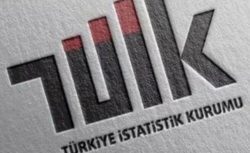 TÜİK, Hizmet Üretici Fiyat Endeksi’nin Ekim Rakamlarını Açıkladı