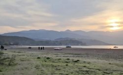 Sapanca Gölü’nde su seviyesi alarm veriyor: Vatandaşlar suyun çekildiği alanda mangal yapıyor